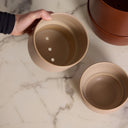 Planter | Fable