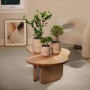 Planter | Fable