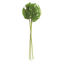 Monstera Leaf Stems | 25.5" | Bundle of 3