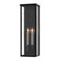 Tanzy Outdoor Wall Sconce