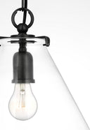 Katie Conical Pendant | Bronze | Clear Glass