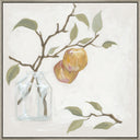 Fruit in Gentle Hues IV