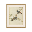 Autumnal Birds