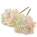 Hydrangea Stem, 19" L - Pink Green