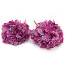 Hydrangea Stem, 19" L - Pink