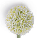 Allium Flower Stem Med 4"D White