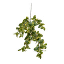 Privet Foliage Spray, 36"L - Yellow Green