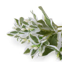 Euphorbia Spray | Overstock