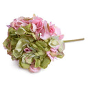 Hydrangea Stem