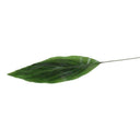Aspidistra Leaf, 37" L - Two-tone green