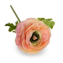 Ranunculus Stem, 15"L - Peach