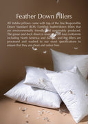 Helena Woven Pillow