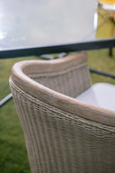 Cambria Dining Chair in Canvas Canvas w/ Self Welt