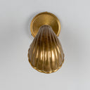 Shell Brass Wall Sconce