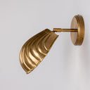 Shell Brass Wall Sconce