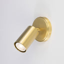 Evanston Directional Brass Wall Spotlight
