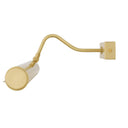 Dublin Brass Picture Light 20"