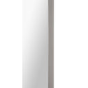 Delphinus Wall Mirror