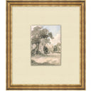 Gentle Glade