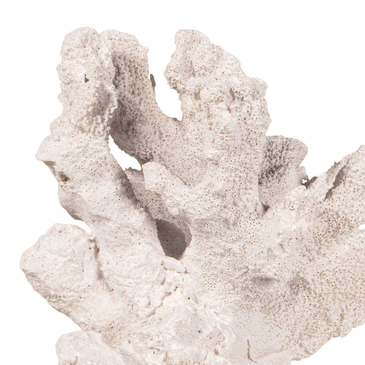 Close up of textural, realistic coral sculpture.
