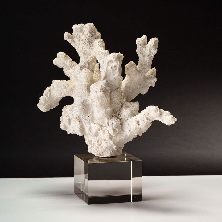 Coral sculpture with crystal base on black background.