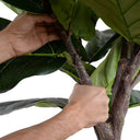 Faux fiddle leaf fig plant with wired, posable branches.