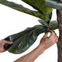 Closeup of the wired, shapeable branches on the decorative fiddle leaf fig plant.
