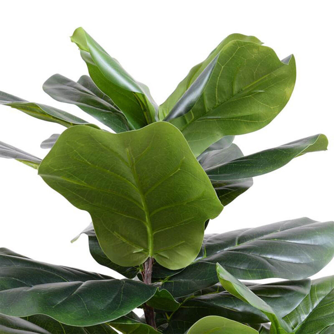 Closeup of the realistic, large faux fiddle leaf fig leaves with wired branches.