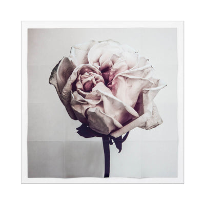 The Flora Fragmenta Rosae Imperfectae is a photograph of a delicate rose shot by Andrew Soule. Soft and neutral wall decor.