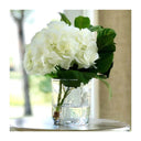 Hydrangea Cutting in Glass