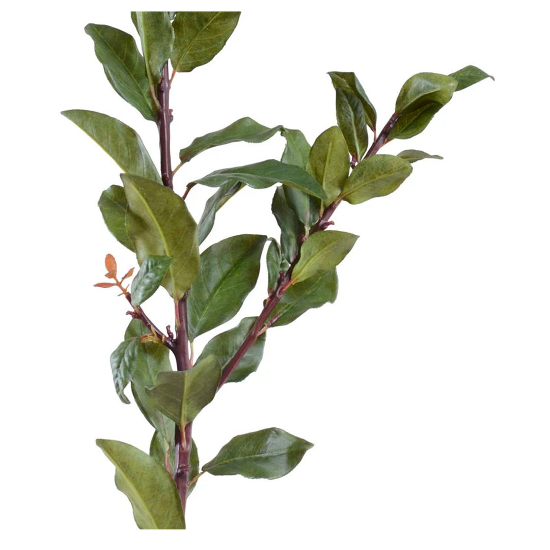 Laurel Leaf Spray