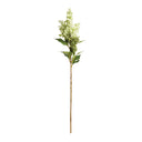 Mini Berries Stem