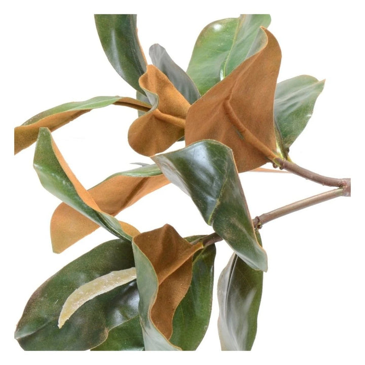 Magnolia Leaf Spray