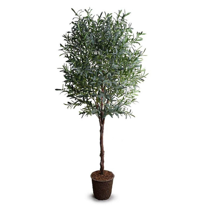 The Olive Tree Large has slender, silvery gray-green leaves on a realistic artificial trunk.