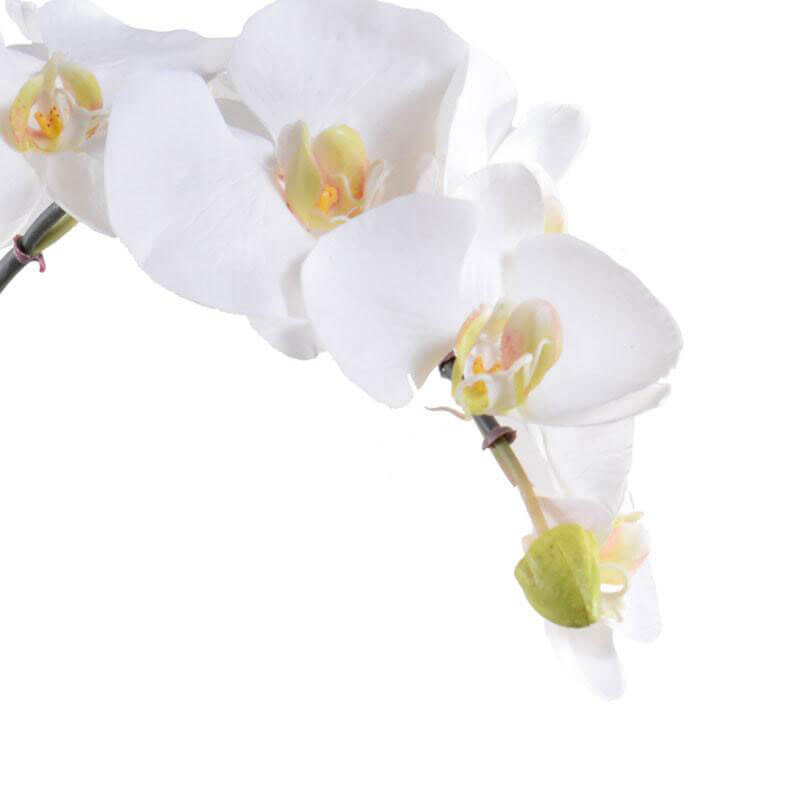 Realistic looking faux white orchid flowers.