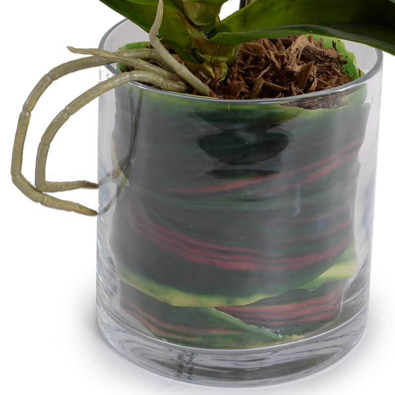 Glass cylindrical vase and faux leaf wrapped roots on the artificial orchid.