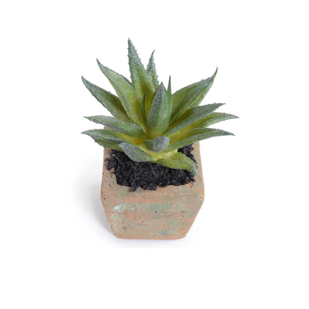 The Potted Succulent - Aloe Plant is a small fake aloe plant with a clay pot.