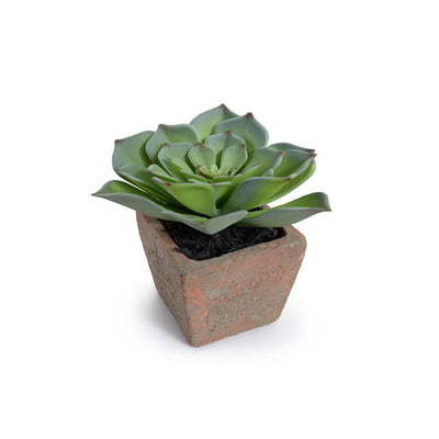 The Potted Succulent - Echeveria is a small fake succulent with a terra cotta pot.