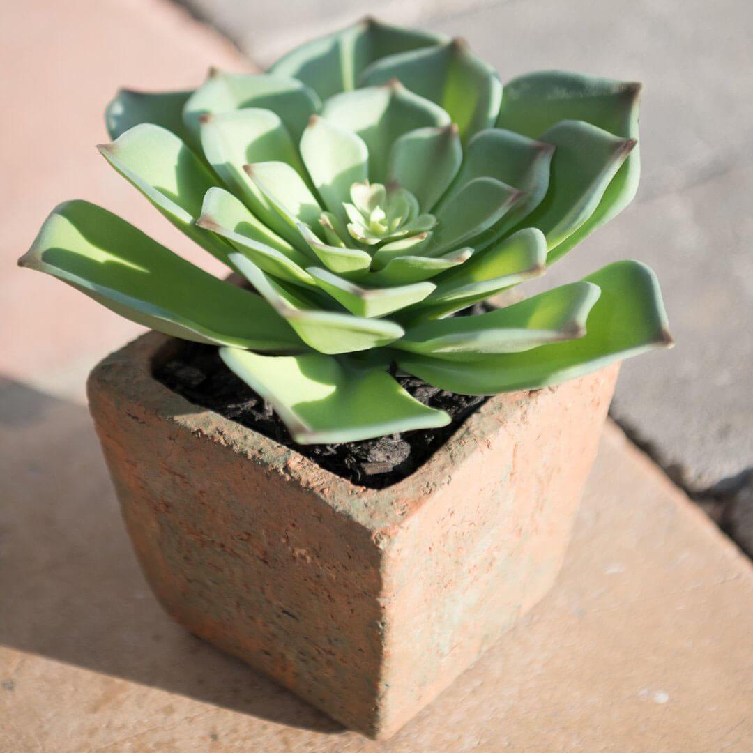 Fake succulent plant in a terra cotta plant styled outdoors.
