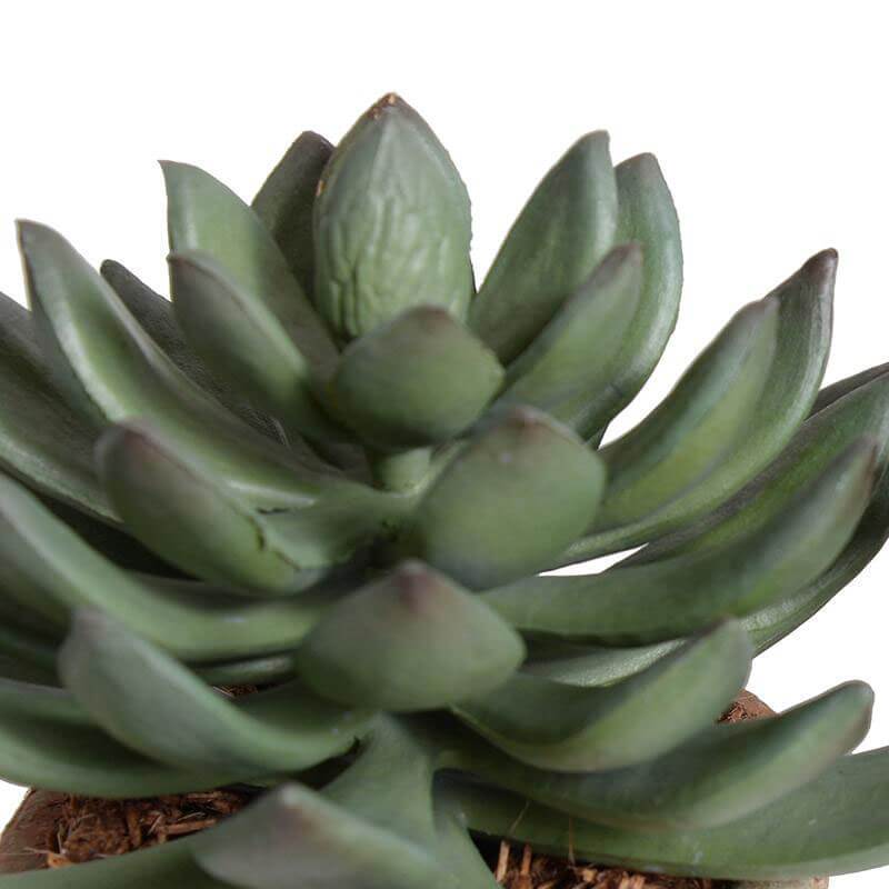 Realistic looking leaves on a fake succulent plant.
