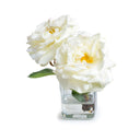 Rose Cutting in Glass-white - West of Main