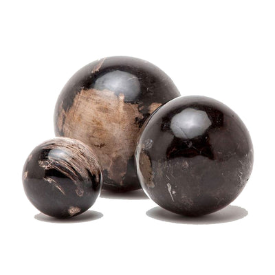Decorative object wooden spheres made of petrified wood, polished to a high gloss.