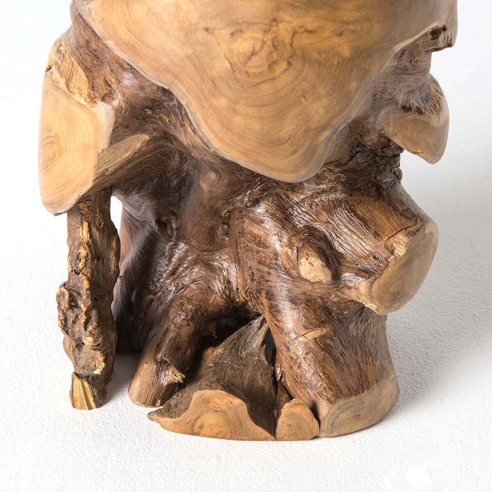 Closeup of the round side table made from a teak root.
