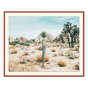 The Joshua Tree - West of Main