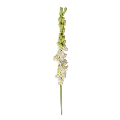 A faux tuberose stem in the process of flowering. Featuring small green buds and creamy white flowers that extend off of the green stem.