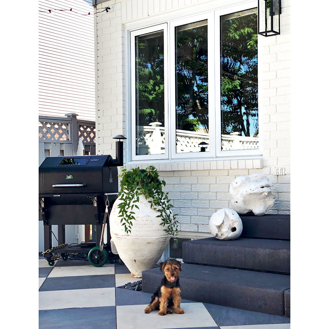 Mediterranean backyard patio with outdoor checkered tile featuring small dog, large jar, and large root balls.