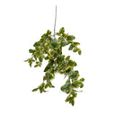 Privet Foliage Spray