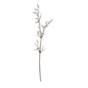 Magnolia Tree Branch
