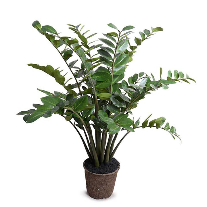 The large Zamiifolia Plant is a fake plant with long arching stems with rounded, glossy leaves.