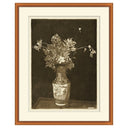 Botanic Etching I